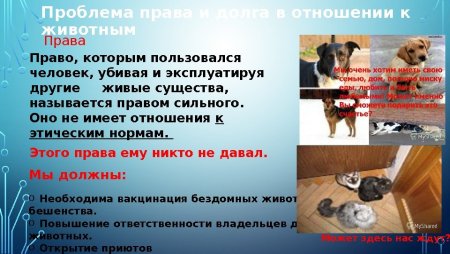 Хищничество рисунок