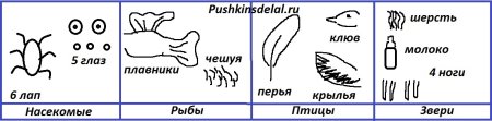 Схематический рисунок признаков насекомых