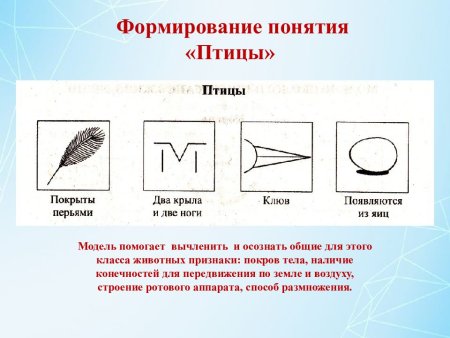 Модели эколого систематических групп