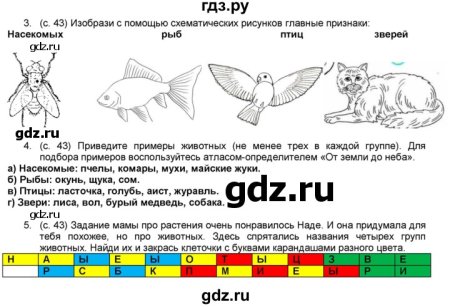 Изобразил с помощью схематических рисунков главные признаки