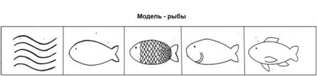 Предметно-схематическая модель «рыбы»