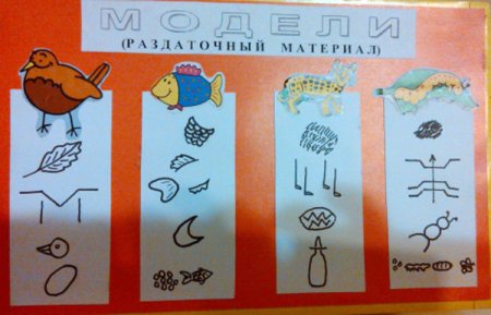 Модель птицы Воронкевич для дошкольников