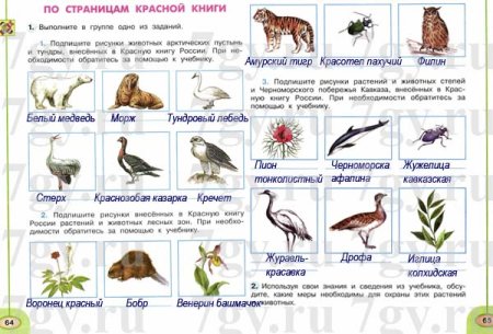 Красная книга России окружающий мир 4 класс рабочая тетрадь Плешаков