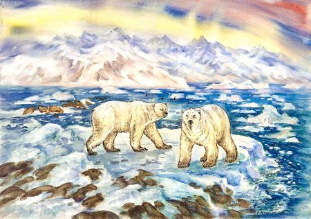 Зона арктической пустыни рисунок