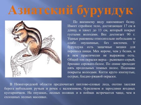 Красная книга рисунок