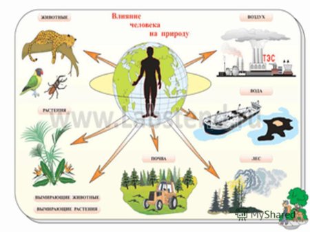Влияние деятельности человека на природу