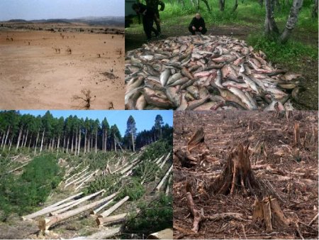 Влияние человека на животных