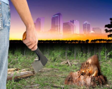 Воздействие человека на природу