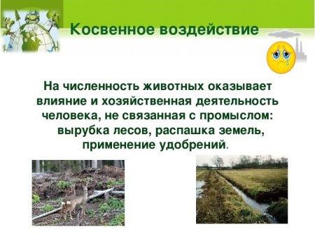 Косвенное воздействие на человека