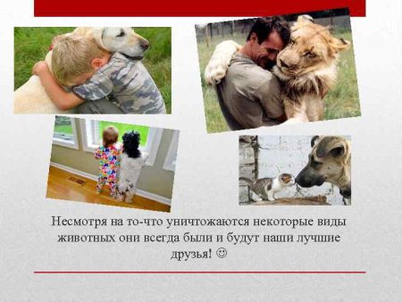 Влияние животных на животных