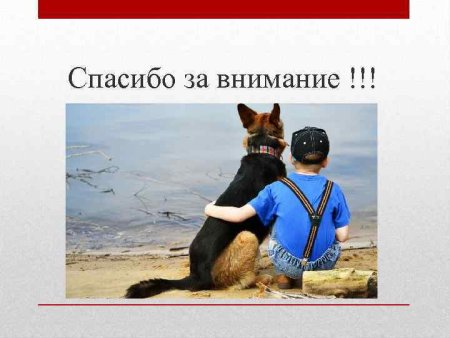 Прямое воздействие человека на природу