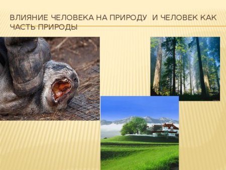 Положительное воздействие человека на природу