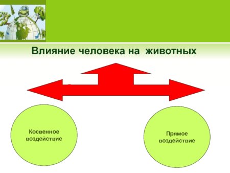 Воздействие человека на живую природу