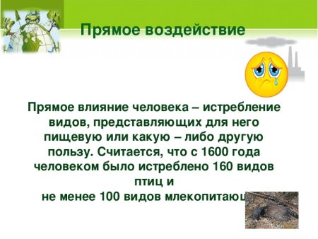 Прямое влияние человека на животных примеры