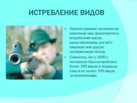 Шумовое воздействие на животных