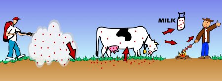 Отрицательное влияние человека на природу