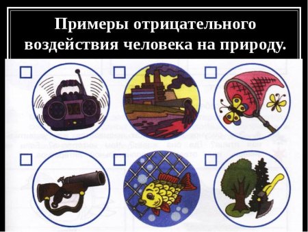 Влияние природы на животных