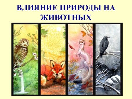 Пронумеруй примеры отрицательного воздействия человека