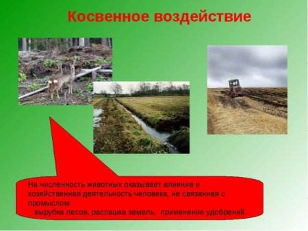 Последствия заргязгнентя прирлд