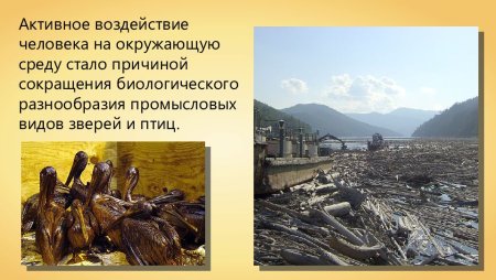Последствия загрязнения природы