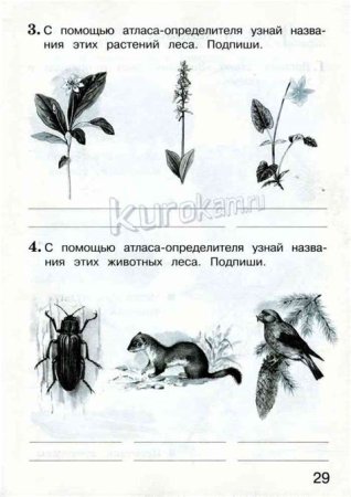 С помощью атласа опередили