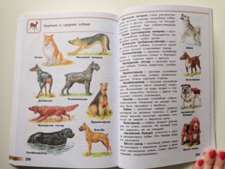 Атлас определитель породы собак 2 класс Плешаков