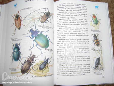 Атлас определитель от земли до неба красотел пахучий