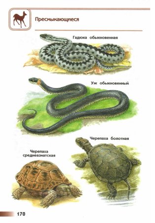 Атлас-определитель от земли до неба 3 класс окружающий мир животные
