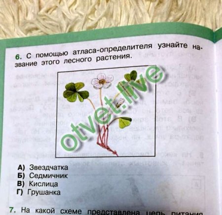 С помощью атласа определителя