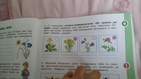 Атлас от земли до неба растения Луга