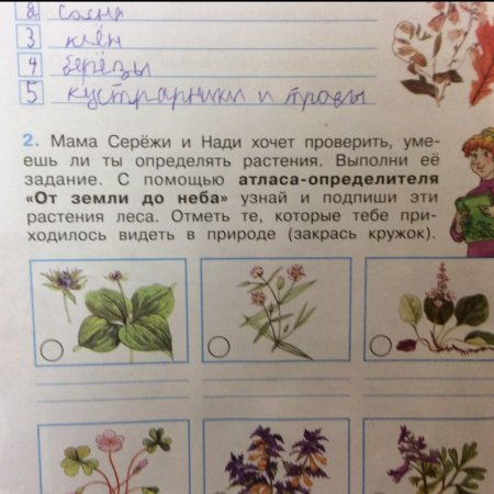 Атлас определитель 4 класс жизнь леса