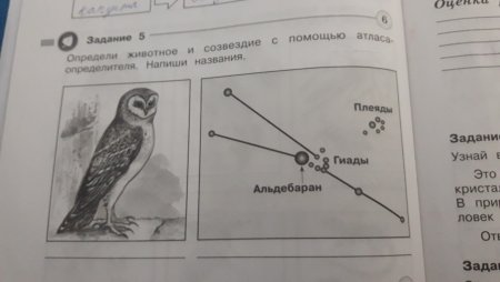 Созвездие с помощью атласа определителя