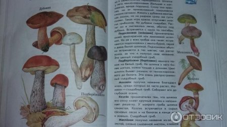 Атлас-определитель 3 класс окружающий мир