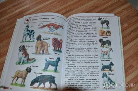 Атлас-определитель от земли до неба 2 класс породы собак