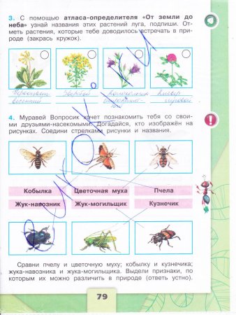 Окружающий мир 4 класс рабочая тетрадь стр 79 часть 1 Плешаков