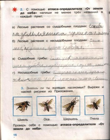 Насекомые окружающий мир 2 класс рабочая тетрадь