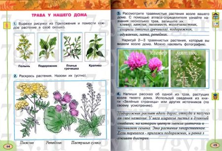 Птичья гречишка тысячелистник пустырник