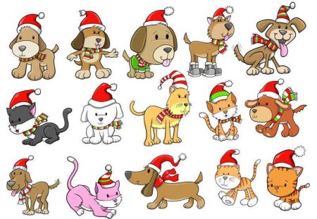 Пингвин раскраска для детей