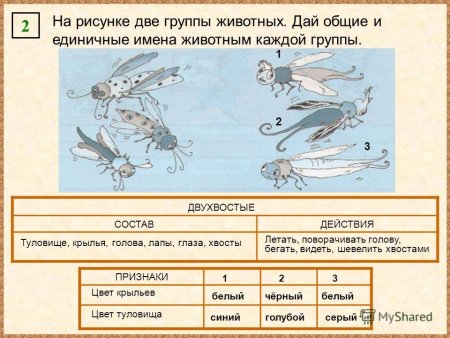 На рисунке две группы животных