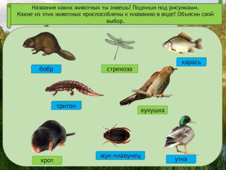 Условия надземновоздушной среды