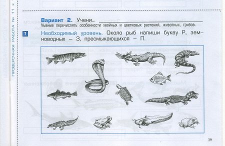 Животные по биологии