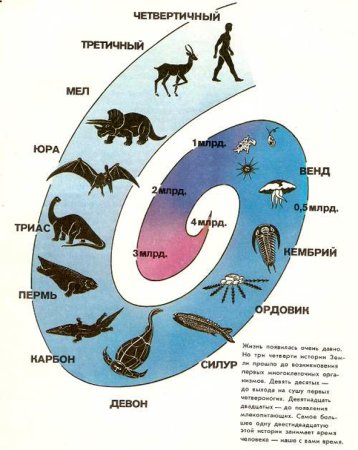 Среды жизни обитания животных
