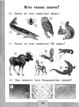 Направления макроэволюции схема