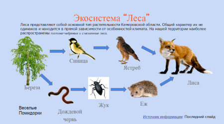 Цепь питания из 7 звеньев