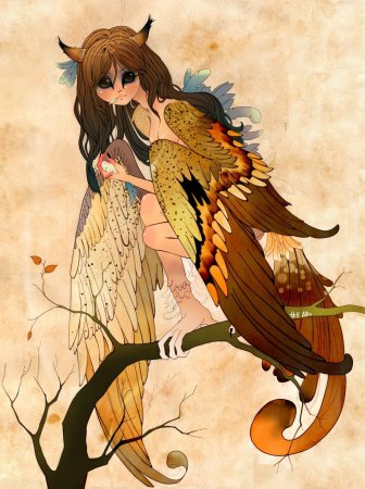 Кульпео Фокс скетчи Лис