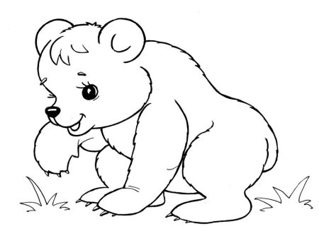 Медведь раскраска