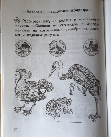 Рассмотри изображение редких животных