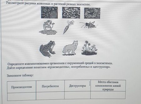 Рассмотрите изображения животных и растений и заполните таблицу