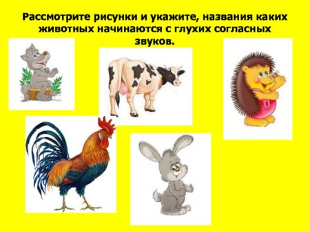 Рассмотрите рисунки животных к какому классу.