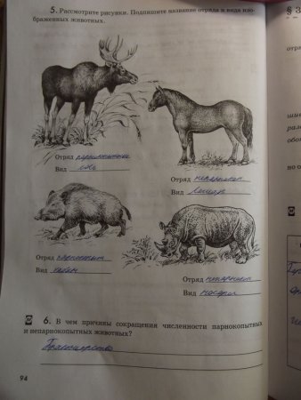Подпишите названия изображенных животных